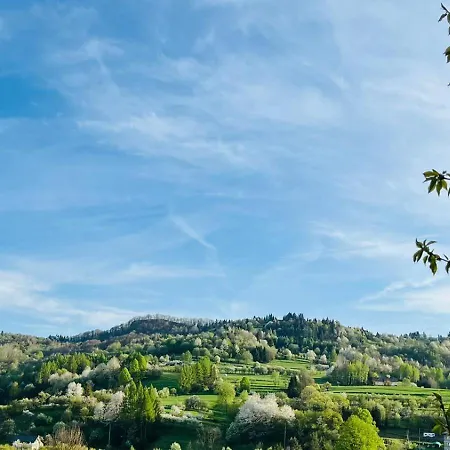 Domki Pieninskie Tarasy Szczawnica Exteriér fotografie