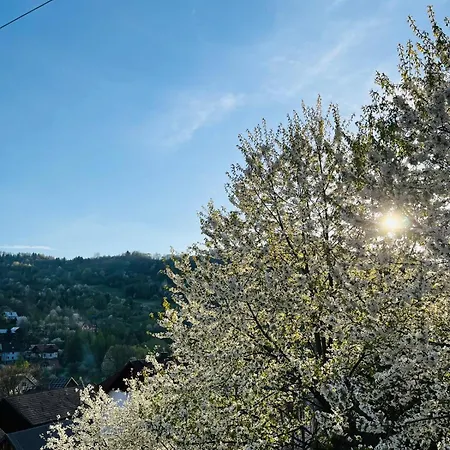 Domki Pieninskie Tarasy Szczawnica Exteriér fotografie