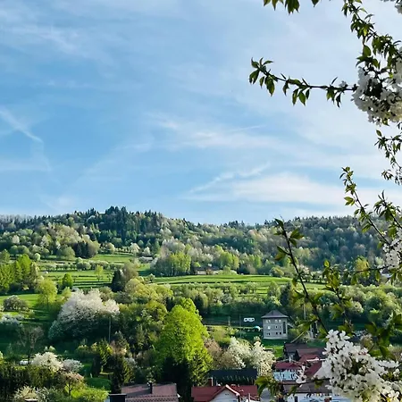 Domki Pieninskie Tarasy Szczawnica Exteriér fotografie